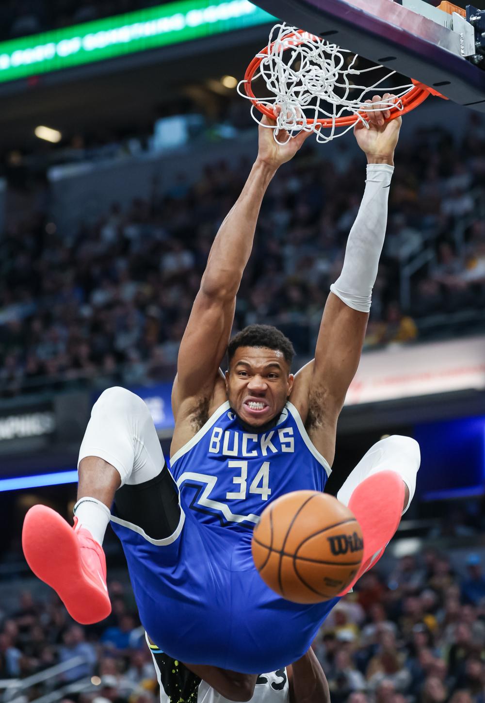 这正印证了 这正印证了